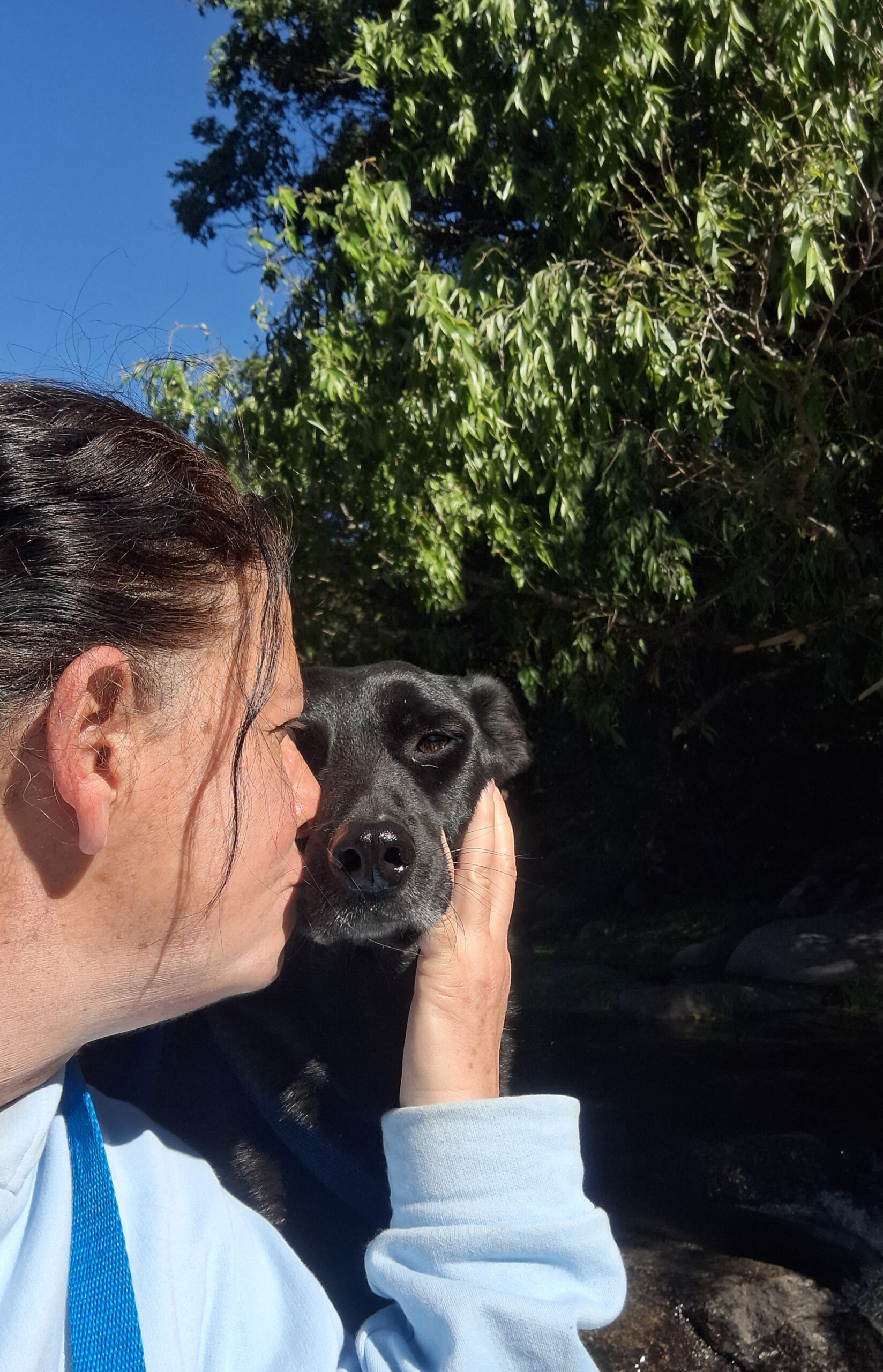 que nos salve el algoritmo