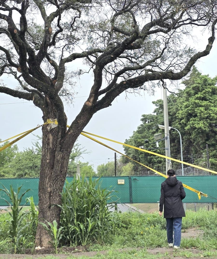 Compromiso Ambiental: Más Allá de las Palabras